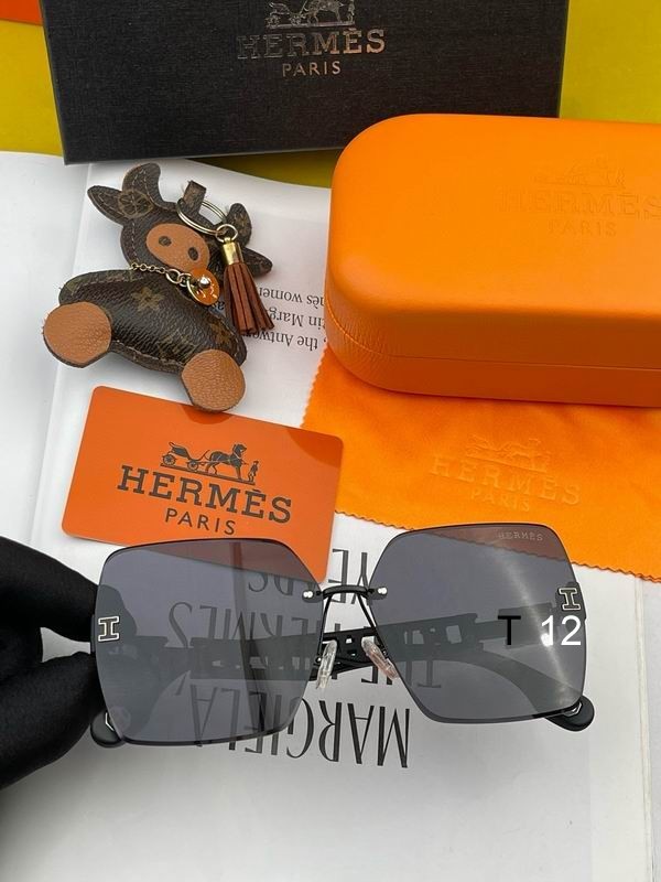 Hermes Sunglasses 45